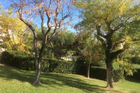 Cassis 4Pers Vue Mer Wifi Tennis Parking Piscine Εξωτερικό φωτογραφία